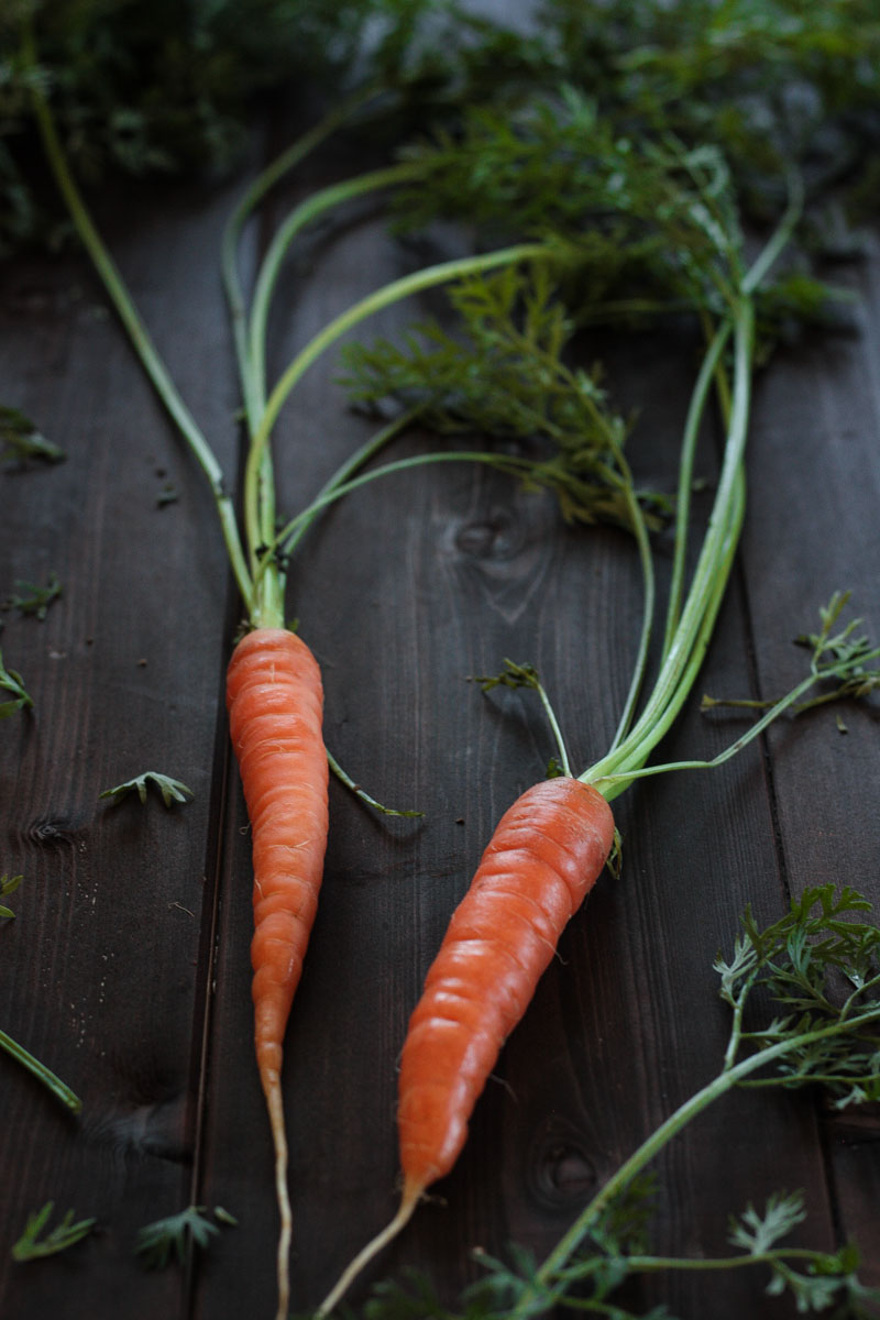 Schneller Karotten-Rotkohl-Salat mit frischem Karottengrün-Dressing - genau das Richtige, wenn mal wieder mehr Rohkost auf den Teller soll! #Rohkost #Karotten #Karottensalat #Salat #vegan #glutenfrei #Rotkohl